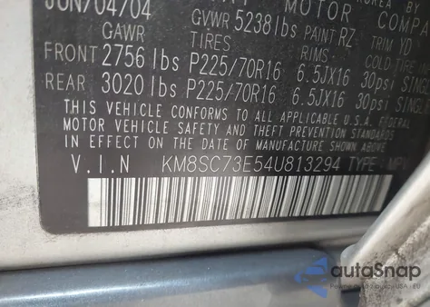 2004 Hyundai Santa Fe Gls/Lx из США, поврежденный, VIN KM8SC73E54U813294